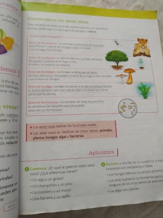 Ciencias de la naturaleza, 4 Primaria, Castilla...