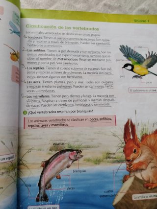 Ciencias de la naturaleza, 4 Primaria, Castilla...