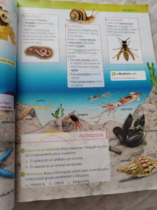 Ciencias de la naturaleza, 4 Primaria, Castilla...