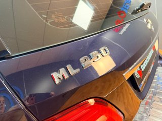 MERCEDES BENZ ML 250 CDI 4MATIC 204 CV