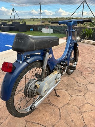 Vespino