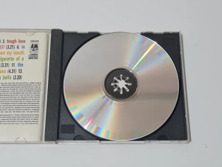 Cd Squeeze Babylon And On
