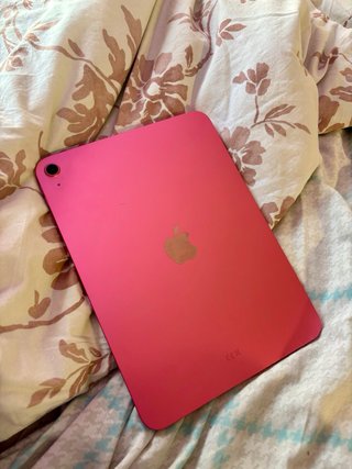 iPad Pro 11 Rosa (A16)