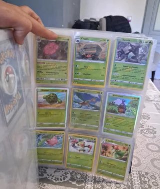 Colección Cartas Pokémon Entrenador