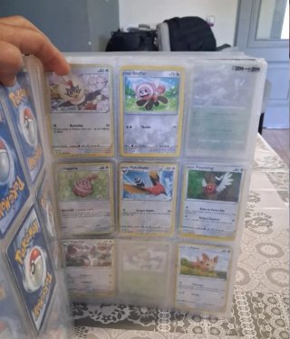 Colección Cartas Pokémon Entrenador