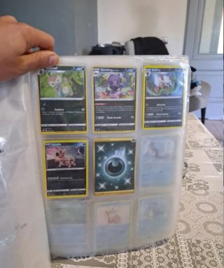 Colección Cartas Pokémon Entrenador