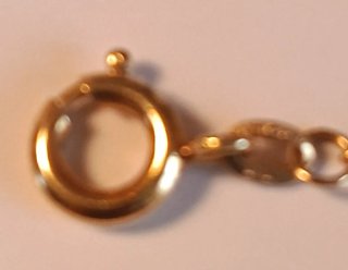 Collar Chapado Oro con 12 Perlas