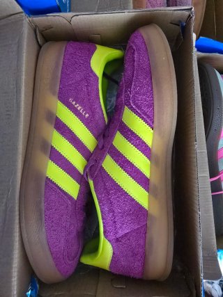LOTE 5 PARES ADIDAS GAZELLE VARIOS COLORES.
