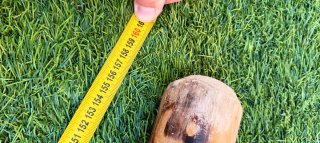 Dos bastones de madera tallada