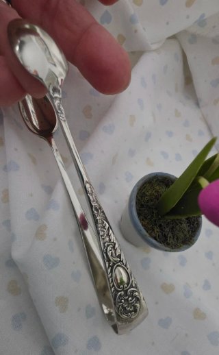 Pinza da zucchero decorata E.P.N.S.
