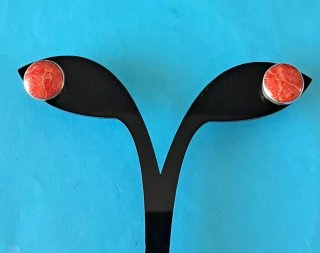 Pendientes Raíz de Coral Plata