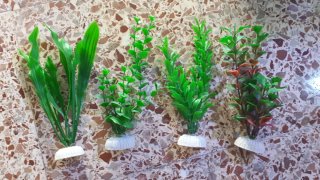 Lote 4 Plantas Acuario 20cm (Calidad Petshop)