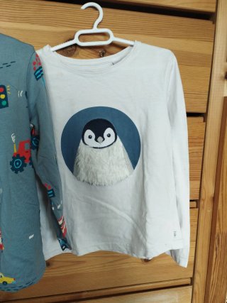 2 Magliette 3-4 anni: Carrozzine e Pinguino