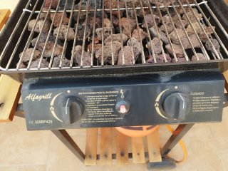 Barbacoa de gas (NO incluye bombona)