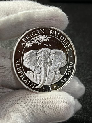 Moneda Plata Elefante Somalia 1 oz 2021