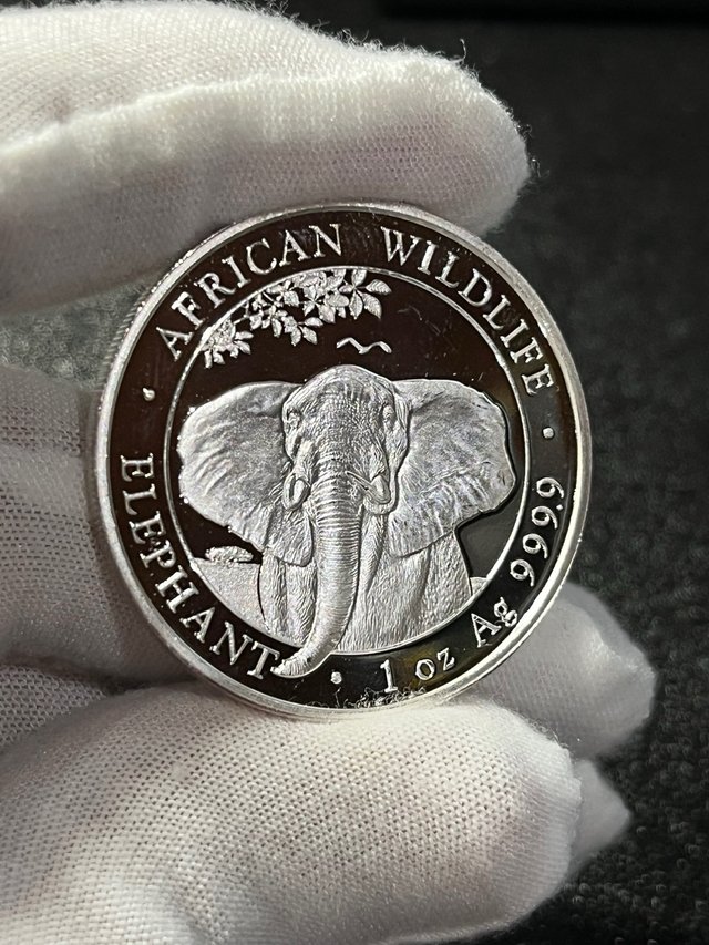 Moneda Plata Elefante Somalia 1 Onza 2021