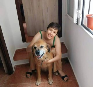 Cuido tus mascotas con cariño.Reserva ya tú verano