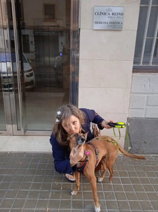 Cuido tus mascotas con cariño.Reserva ya tú verano