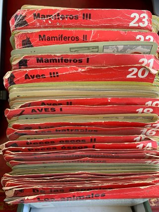 Colección Fichas Animales