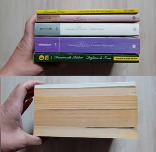 Rosamunde Pilcher 5 libri