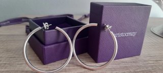 Pendientes Aristocrazy Aro Plata