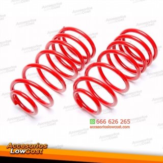 KIT MUELLES DEPORTIVOS BMW X5 E53