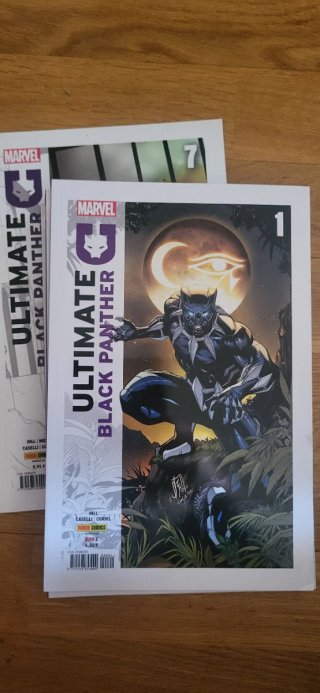Comics Ultimate Black Panther