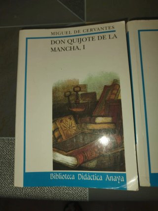 Don Quijote de la Mancha