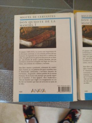 Don Quijote de la Mancha