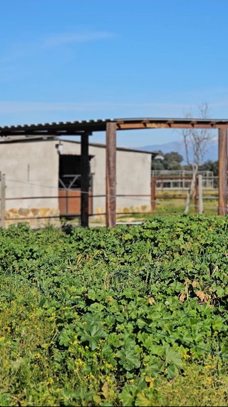 Se vende parcela rustica