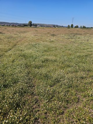 Se vende parcela rustica