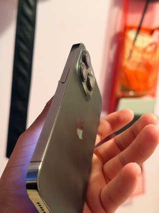 iPhone 13 Pro Gris Plata