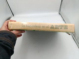 LA NATURALEZA EN EL ARTE