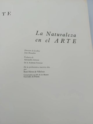 LA NATURALEZA EN EL ARTE