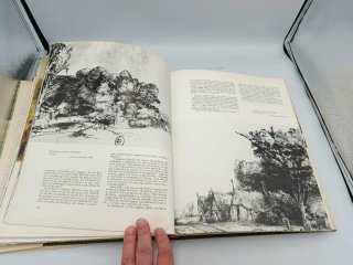 LA NATURALEZA EN EL ARTE