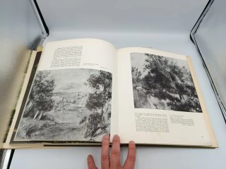 LA NATURALEZA EN EL ARTE