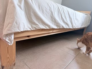 Cama individual 90x200