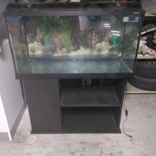 Acuario con mueble negro