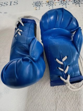 Mini guantes boxeo coche azul
