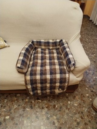 Cama para perro y arnés