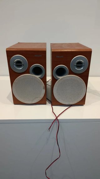 Altavoces Philips Marrones y Plateados