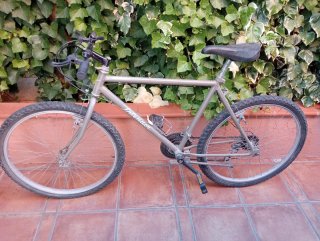 Bicicleta Trekking Treelendor