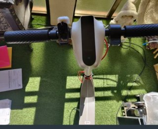 Patinete Eléctrico Stroot Zebra