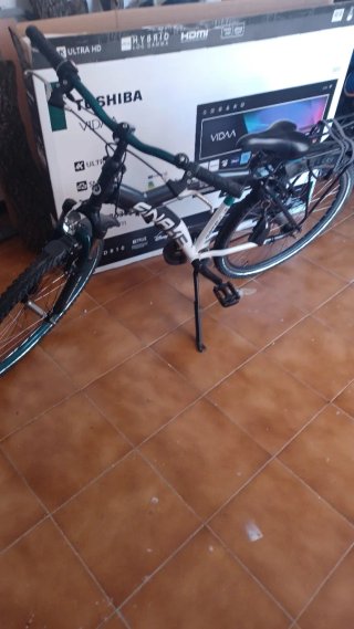 Bicicleta de batavus Snake