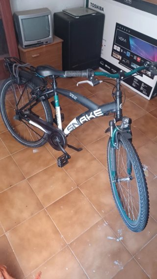 Bicicleta de batavus Snake