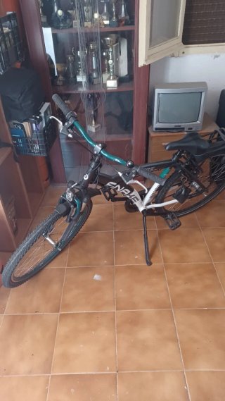 Bicicleta de batavus Snake