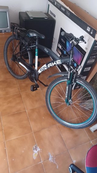 Bicicleta de batavus Snake