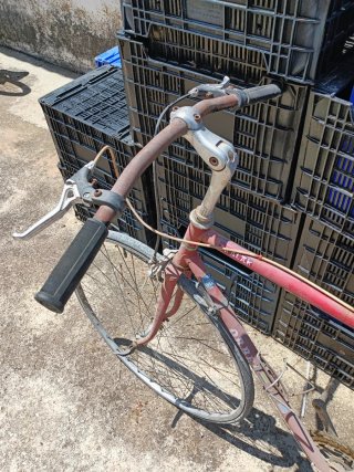 Bicicleta Orbea Aralar restaurar .