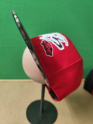Lote 8  Gorras Planas Variadas