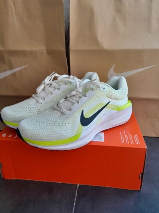 Zapatilla Nike Air Winflo 11